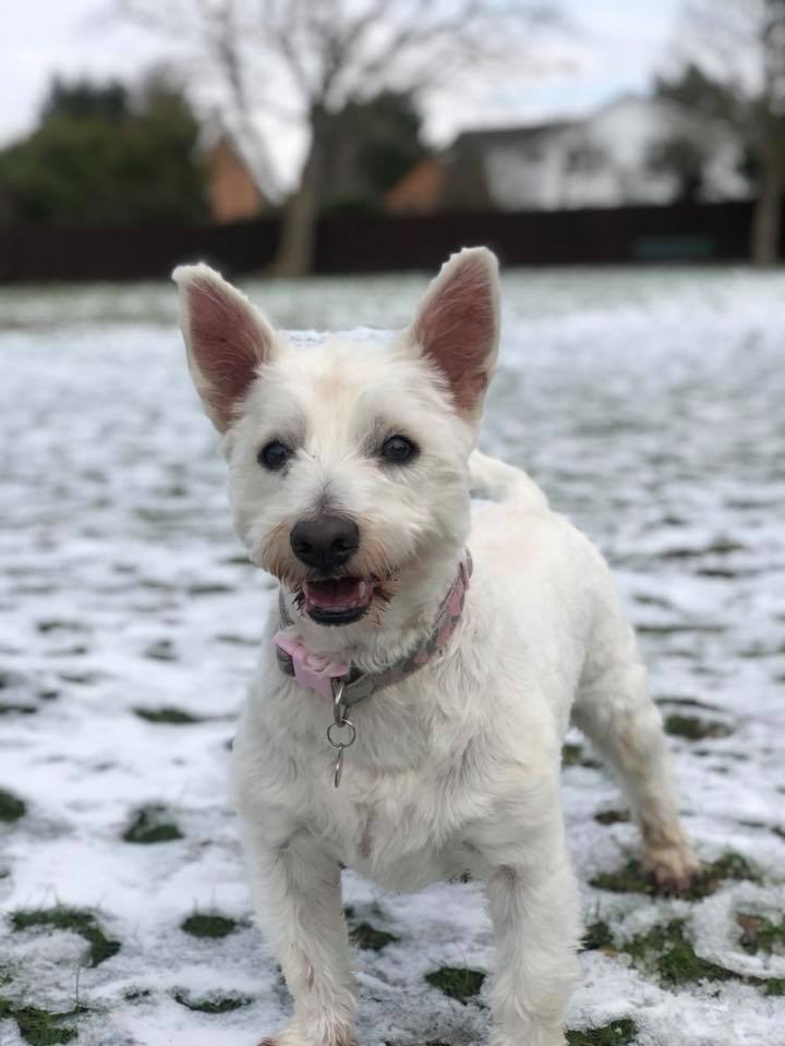 29425842 783296335211404 3180859861818671104 n